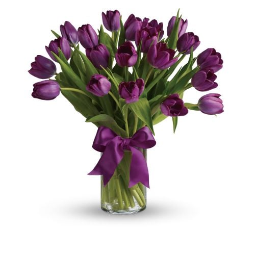 Spring Tulips- Deluxe Purple
